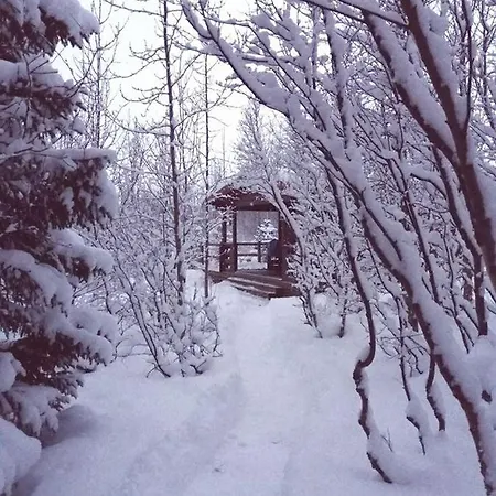 Bakkakot 1 - Cozy Cabins In The Woods Akureyri Eksteriør billede