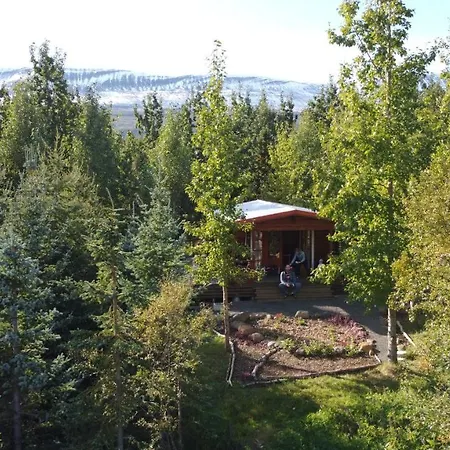 Bakkakot 1 - Cozy Cabins In The Woods Akureyri Eksteriør billede