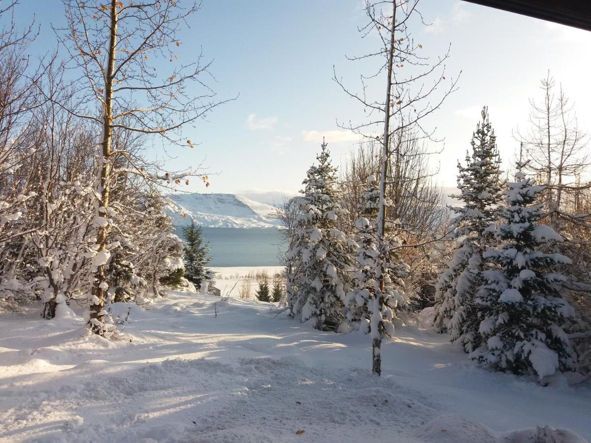Bakkakot 1 - Cozy In The Woods * Akureyri