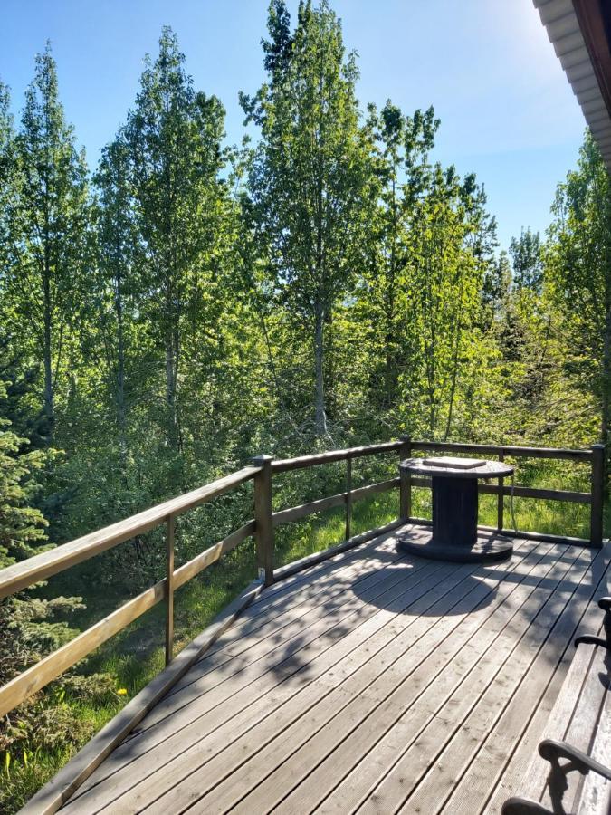Bakkakot 1 - Cozy In The Woods Hytte